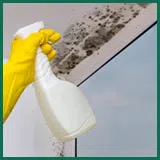Margate Emergency Restoration Margate, FL 954-488-2959 - abtus-mold
