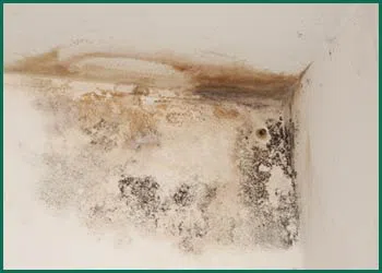 Margate Emergency Restoration Margate, FL 954-488-2959 Margate Emergency Restoration Margate, FL 954-488-2959 - cont-mold