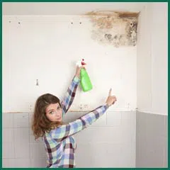 Margate Emergency Restoration Margate, FL 954-488-2959 - side-mold